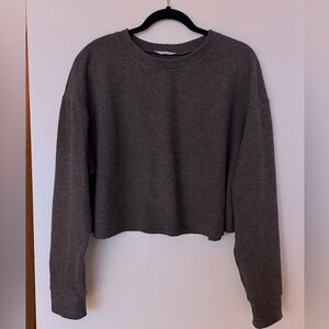 Zara Charcoal Gray Cropped Longsleeve